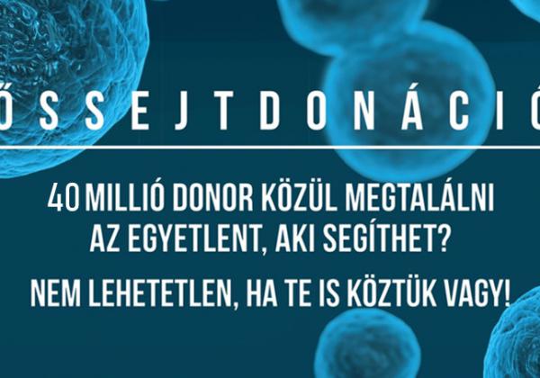 ŐSSEJTDONÁCIÓ