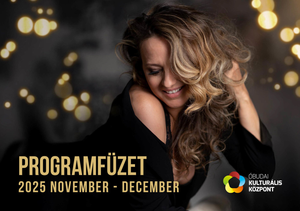 Programfüzet