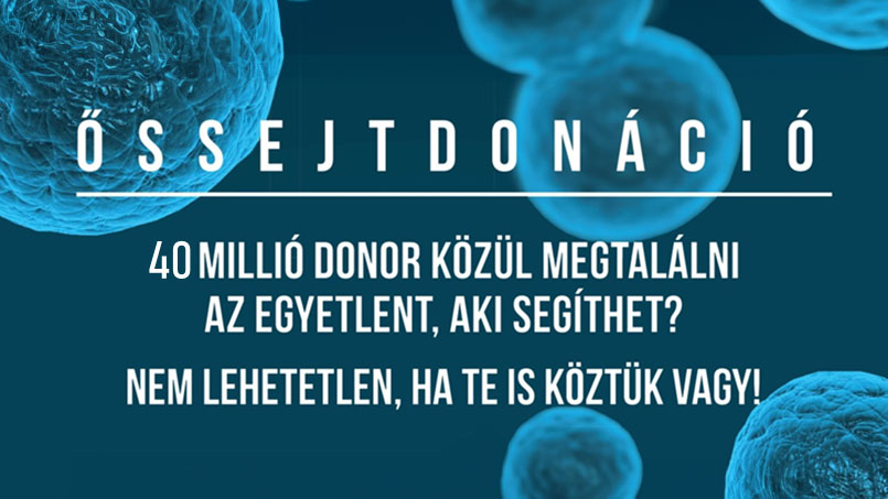 ŐSSEJTDONÁCIÓ